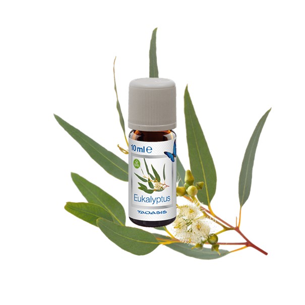 Venta Bio-Duftöle, Lavendel 3er Set